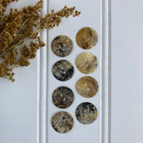 11/16" Natural Shell Button - Iridescent